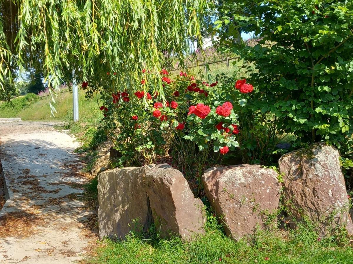 A La Memoire De Merlin & Spa Saint-Malon-sur-Mel Екстериор снимка